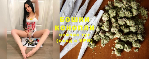 бошки Алзамай