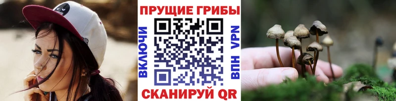 наркота  Минусинск  Галлюциногенные грибы Magic Shrooms 